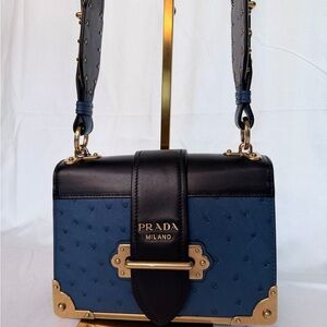 Prada Struzzo Cahier / Oatrich/ Exotic Blue and Black Women's Bag